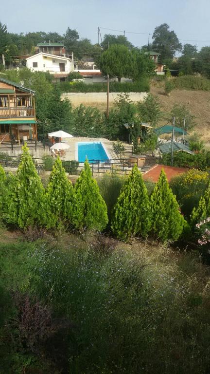 Zeus-Village οικισμός φινλανδικών chalet με πισίνες & γυμναστήριο - Chalet Semeli - Danai