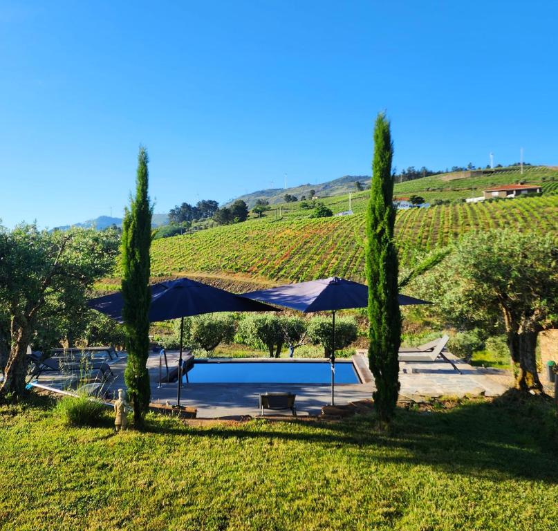 a pool with umbrellas and trees in a yard at Quinta dos Piscos in Barcos