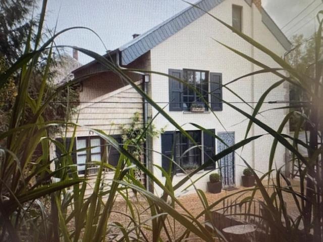 a white house with blue windows and plants at Au coeur de la Vallée in Érezée