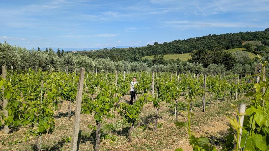 Agriturismo Amici Miei