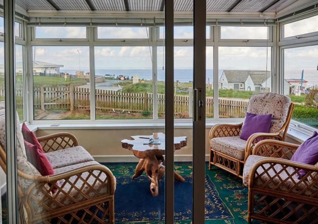 a dog standing in the middle of a screened in porch at Bungalow with stunning views over Widemouth Bay in Widemouth Bay