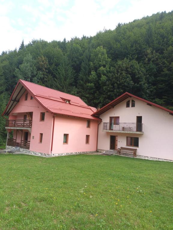 two white and pink buildings with a grass field at Casa Cerbului Moisei in Moisei