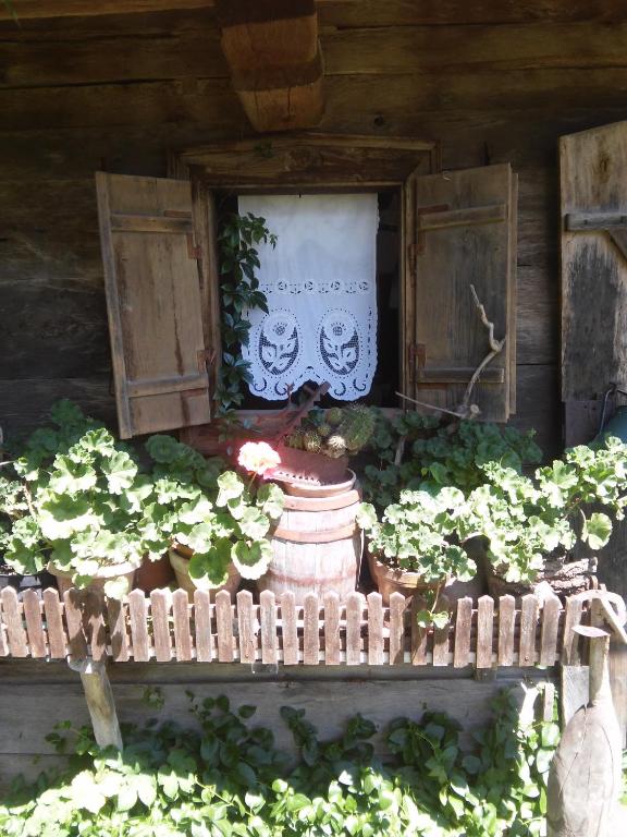 Fotografie z fotogalerie ubytování Rural Tourism Family Ravlic v destinaci Mužilovčica