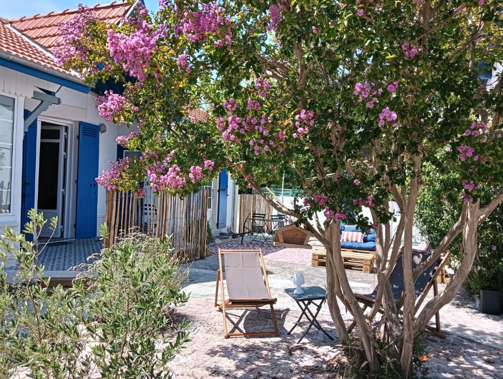 a house with a tree with pink flowers at La charmante Albertine villa proche port in Arcachon