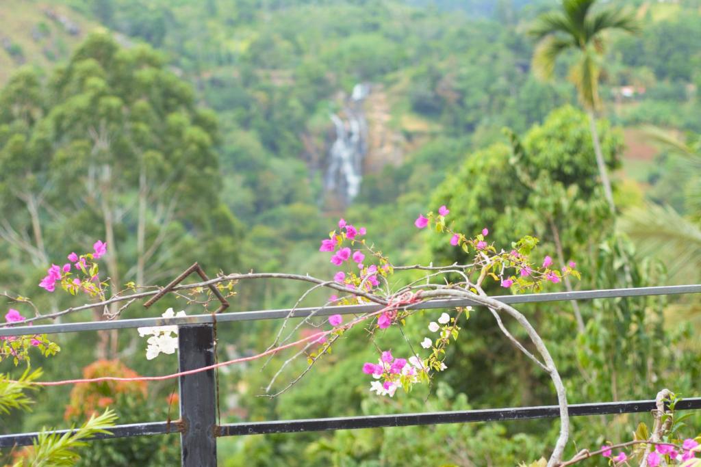 Secret View Homestay Ella - 11