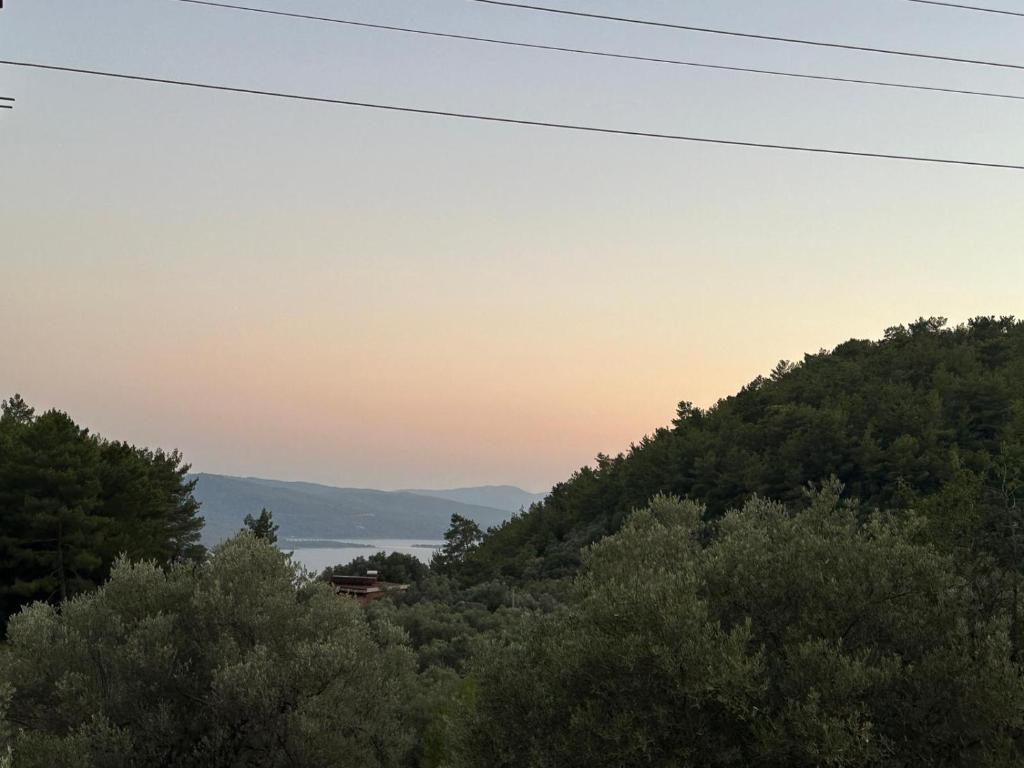 Φυσικό τοπίο κοντά σε αυτή η βίλα