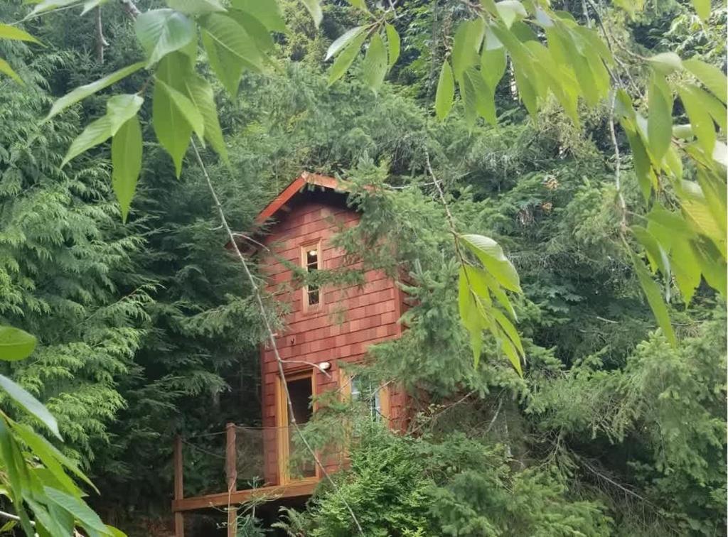 a tree house in the middle of the forest at Large Estate Venue 2 hot tubs 2 treehouses in Snohomish