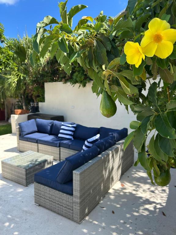 Tranquil Roomy Getaway Close to City