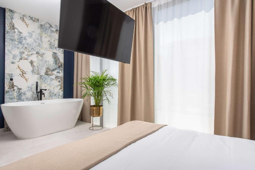 Samstag ParkZone - Resim 13