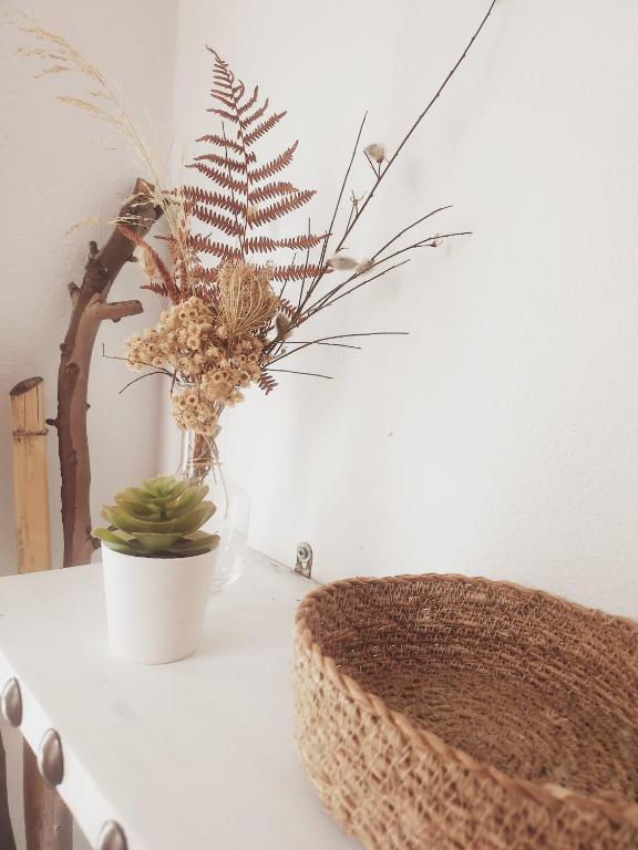 a vase with a plant in it on a table at Casa del Valle Encantado in Galaroza