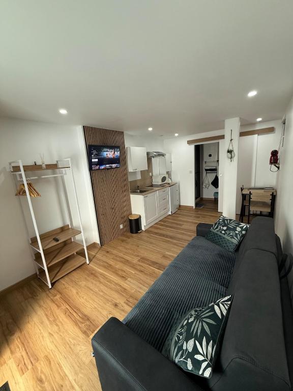 a living room with a couch and a kitchen at Chaleureux Studio Tout Confort in Orléans