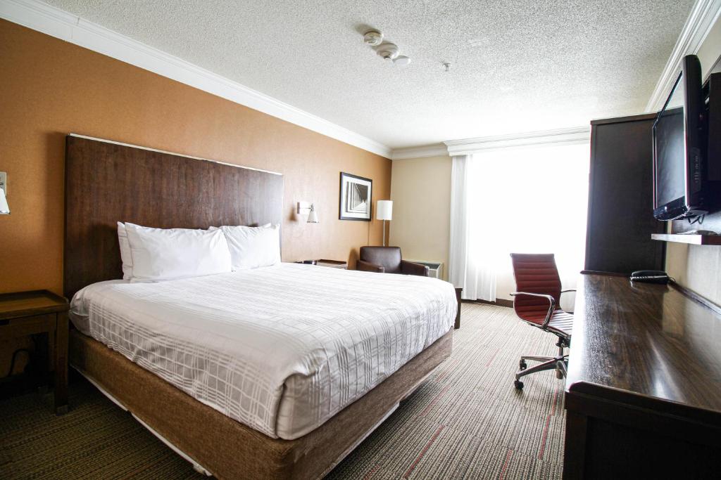 Waterloo Suites Hotel, Trademark Collection by Wyndham - キングルーム - 禁煙