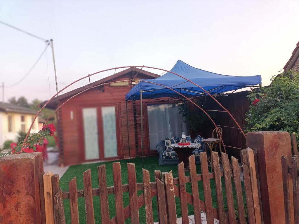 a small house with a blue tent in a yard at Casa Leo in Cristur