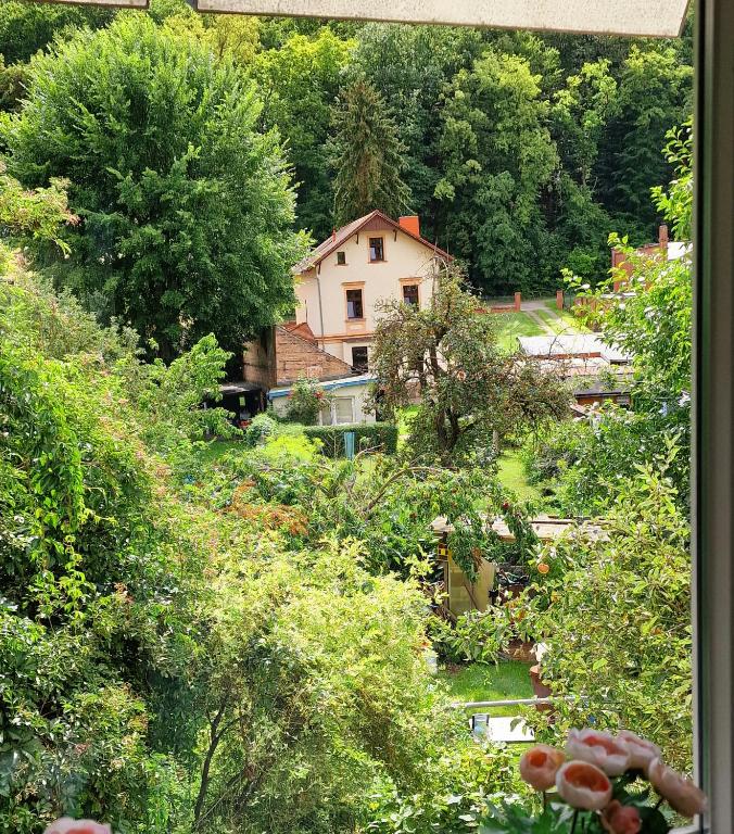 Pension im Gesundbrunnental Bad Freienwalde - Eenpersoonskamer