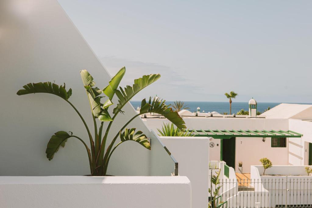 Apartamentos Princesa Guayadeque - 2