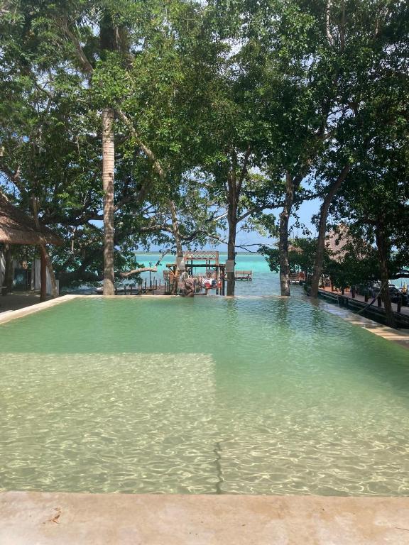 a pool of water with trees on a beach at Hotel Casa Del Angel in Chetumal
