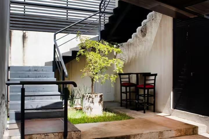 a porch with two chairs and a staircase with a plant at Maravilla en el Centro Histórico de GDL in Guadalajara
