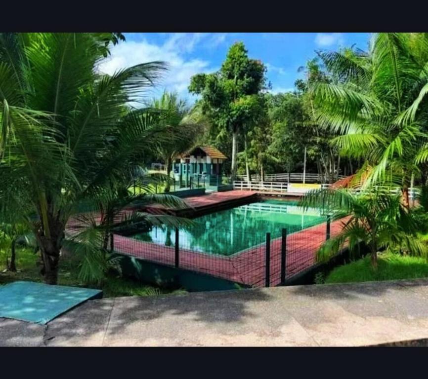 - une grande piscine dans un complexe avec des palmiers dans l'établissement Apartamento amazônico COP30, à Belém