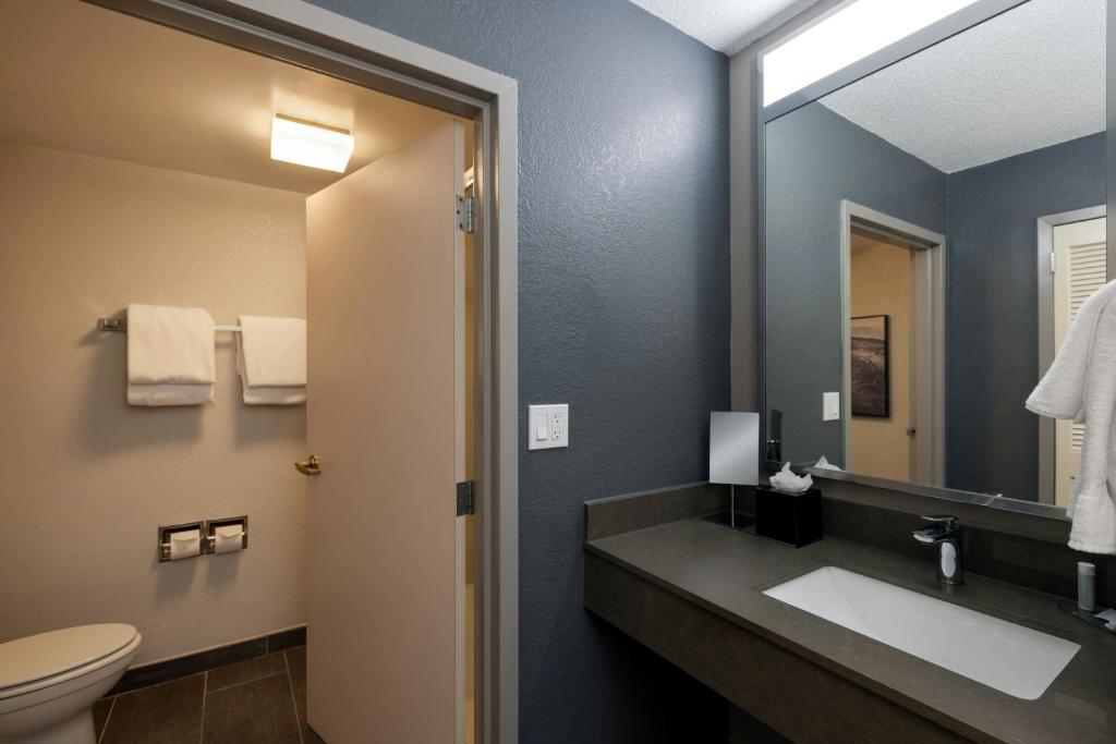 Courtyard by Marriott North Charleston Airport Coliseum photo