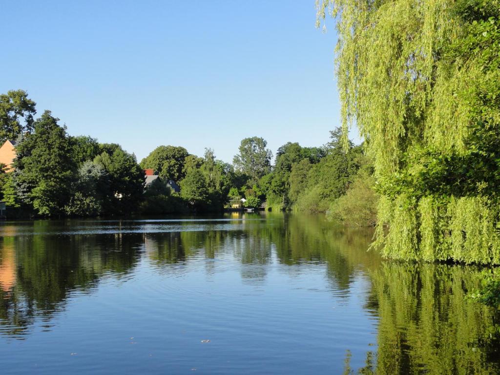 Blick auf einen Fluss mit Bäumen im Hintergrund in der Unterkunft Pension Ute in Zeulenroda