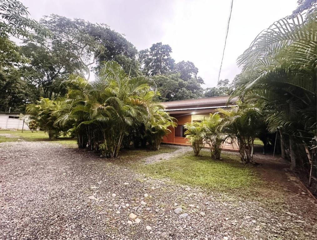 Gallery image of Villas jacki cocles in Talamanca