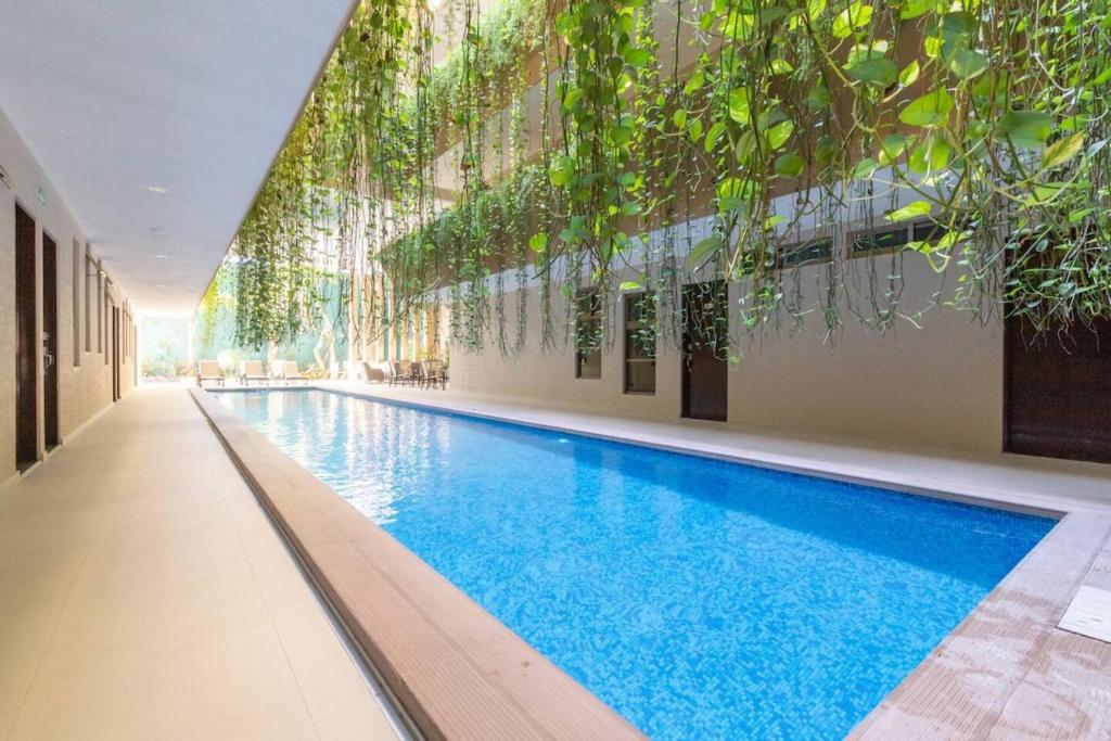 Πισίνα στο ή κοντά στο Departamento En El Centro De Playa Del Carmen