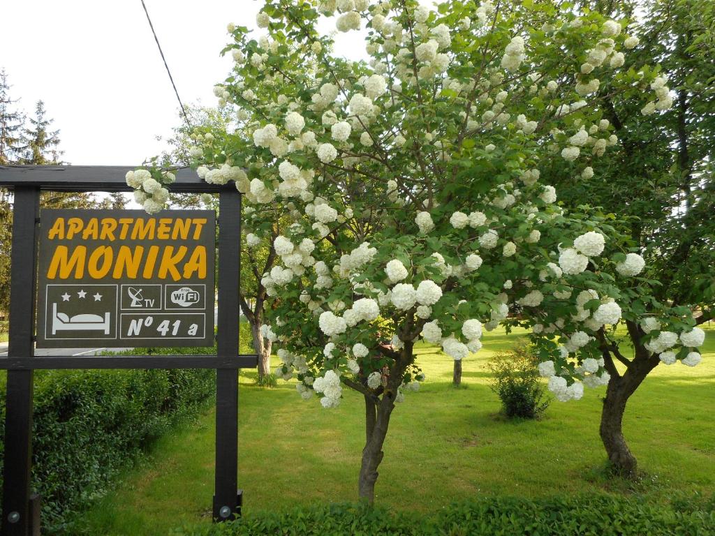 Apartment & Room Monika - 17