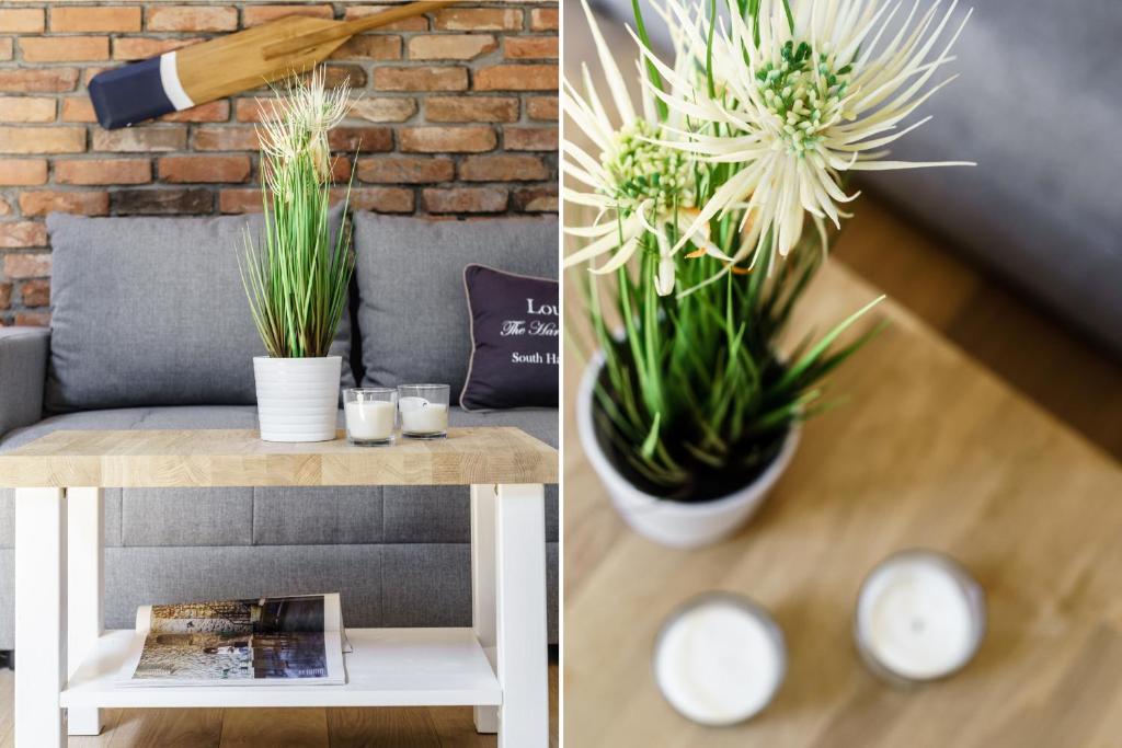 Sanhaus Apartments - One-Bedroom Apartment - 16B Winieckiego Street