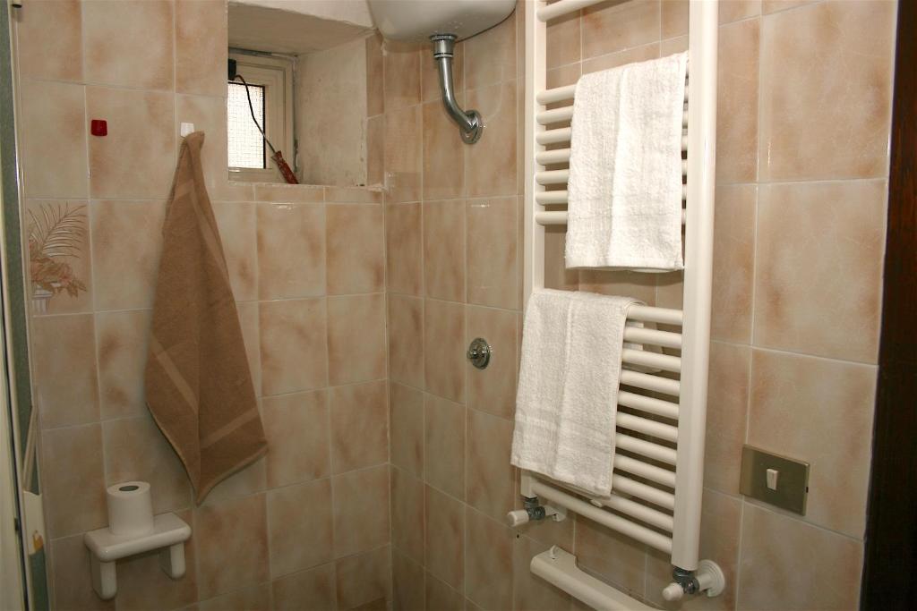 y baño con ducha, espejo y toallas. en Don Pasquale Scontrone House, en Scontrone