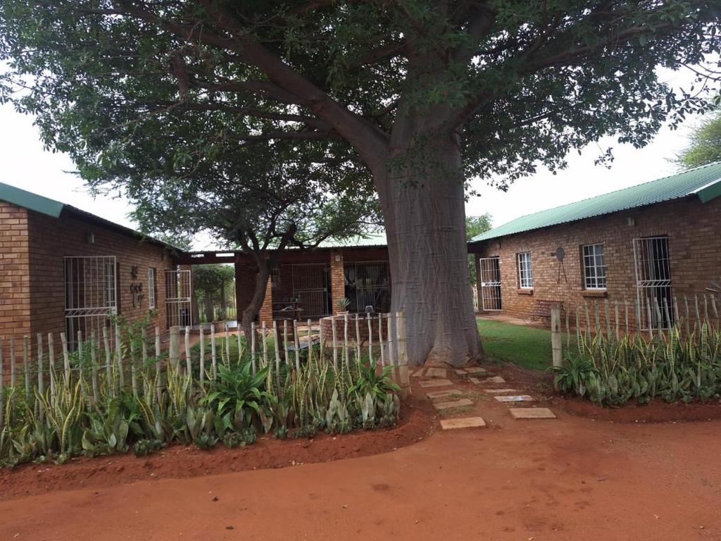 een grote boom voor een bakstenen gebouw bij Oppieplaas in Alldays