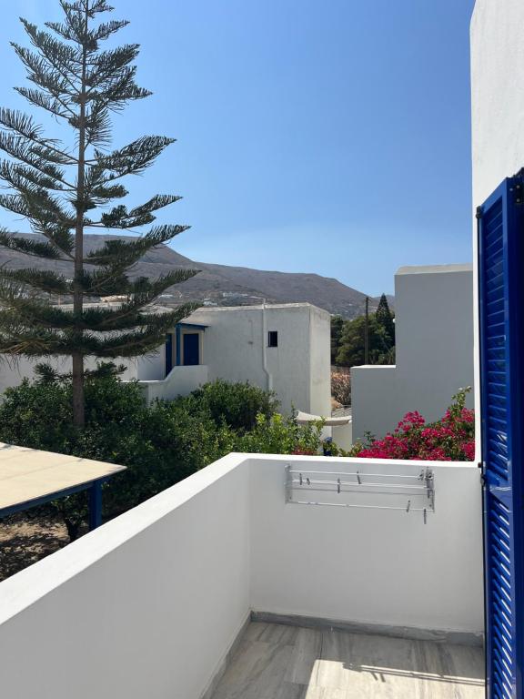 Marioly Studios - 18