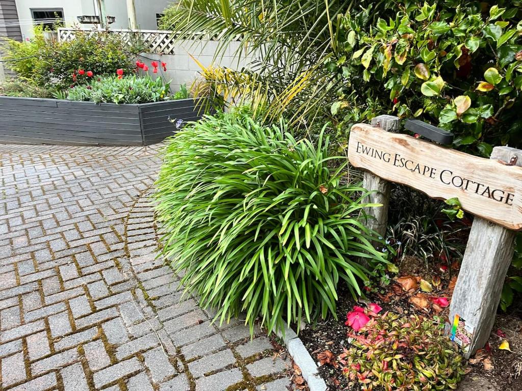 Ewing Escape, Acacia Bay, Taupo - Resim 20