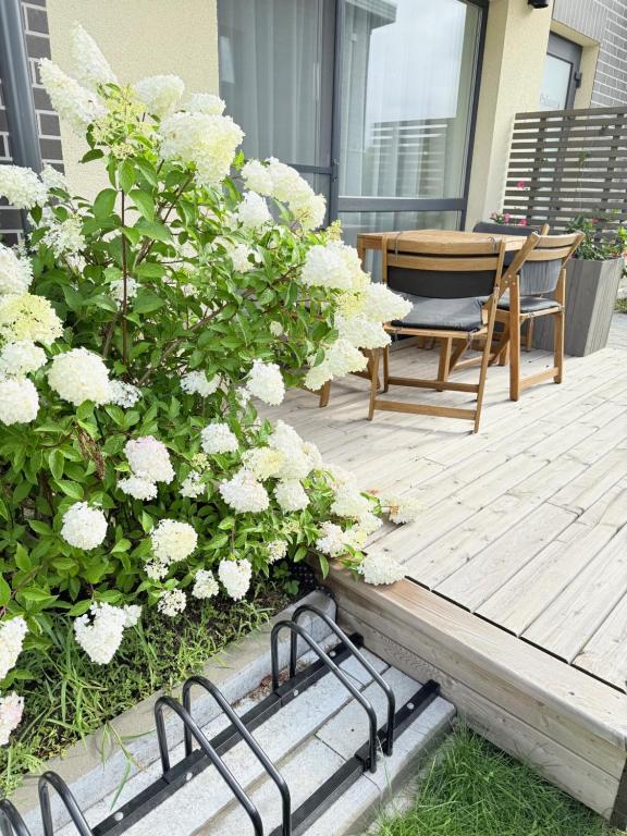 Zahrada ubytování Palanga Apart 5