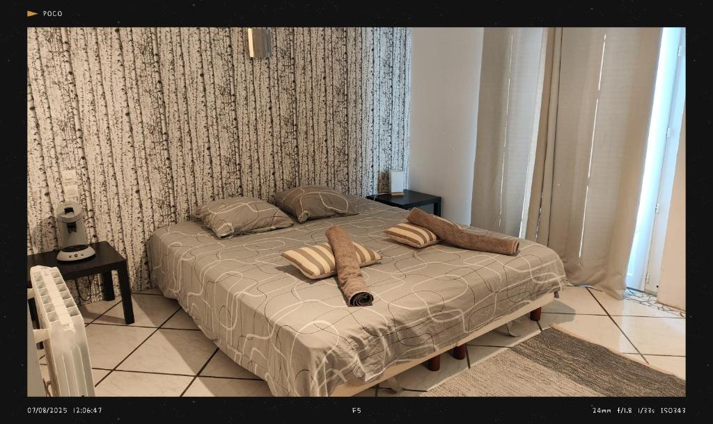 ein Bett mit zwei Kissen darauf in einem Schlafzimmer in der Unterkunft agnës in Limoux