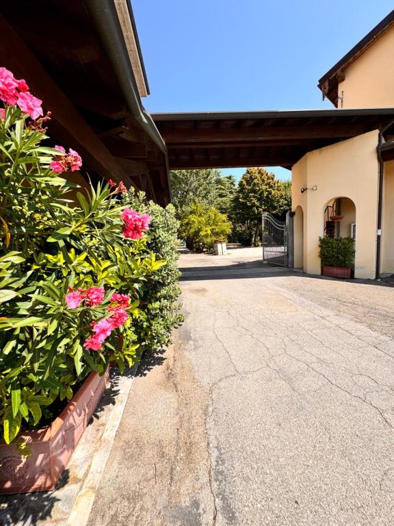 Hotel Fattori - Resim 6