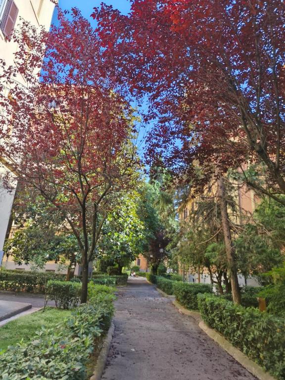 Suite Tevere star