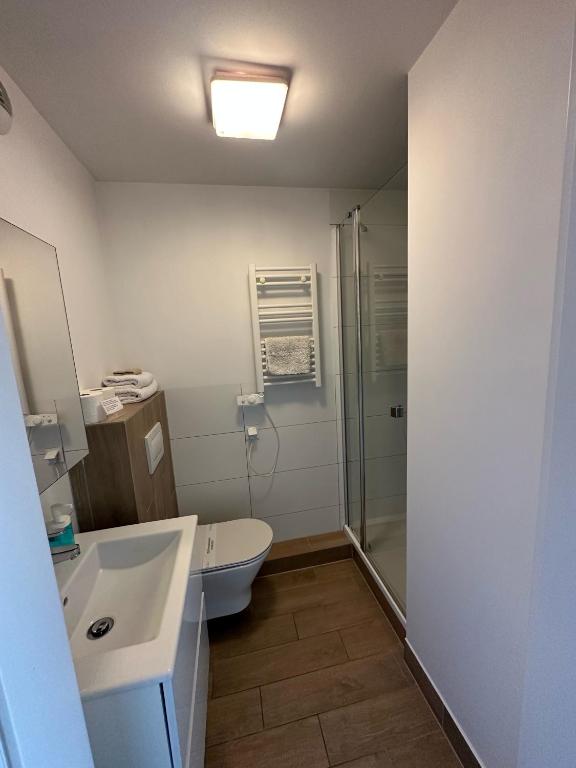 Starter III - Resim 41