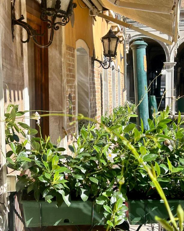 Albergo Cavalletto & Doge Orseolo - Resim 37