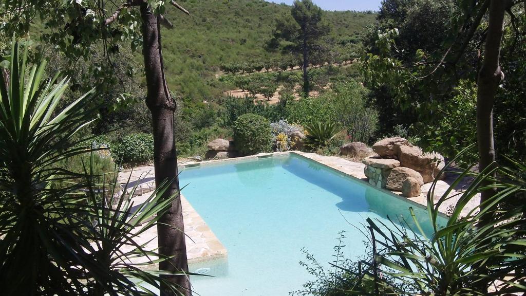 a swimming pool in the middle of a garden at Mas Seguilla in Cistella