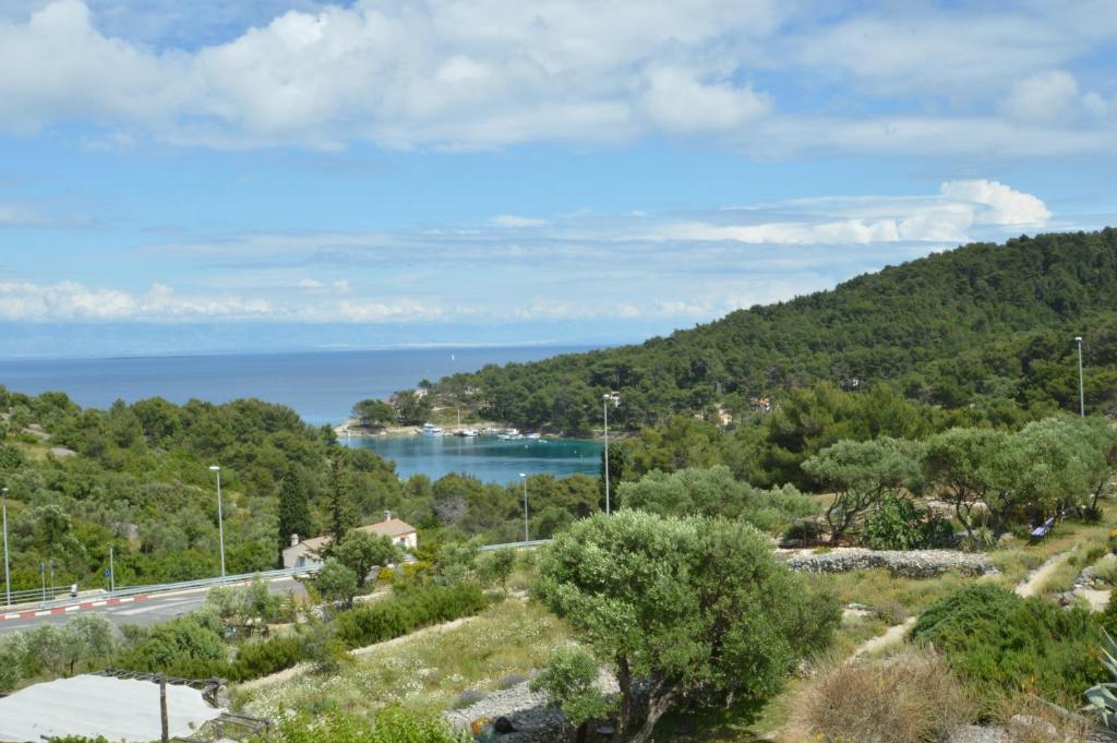 vistas al océano desde una colina en Apartmani Raić, en Mali Lošinj