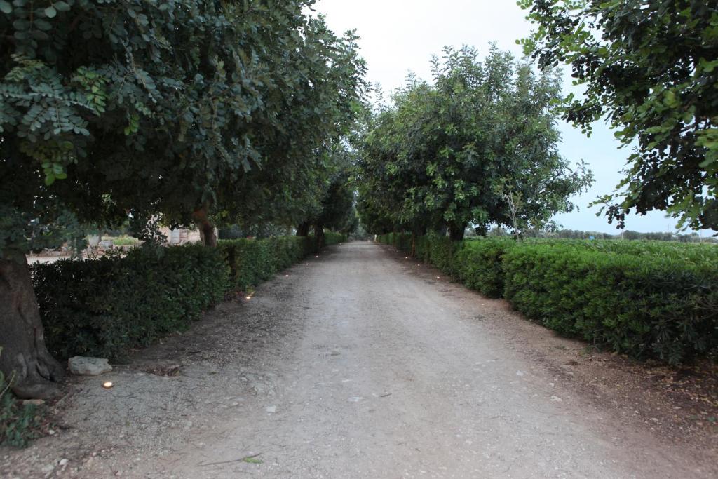 Fotografie z fotogalerie ubytování Masseria La Duchessa v destinaci Veglie