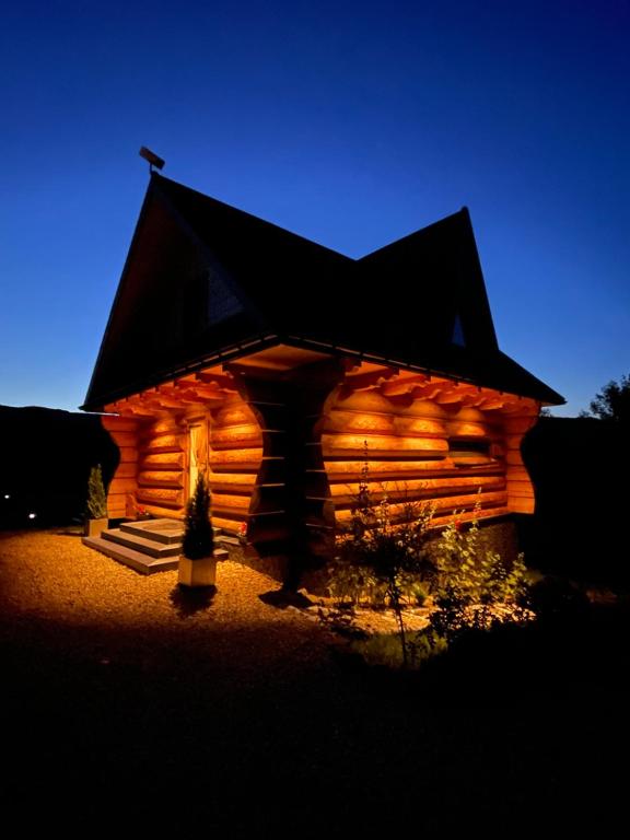 SidzinaにあるNiedźwiedzi Zakątekの夜に屋根が照らされる丸太小屋
