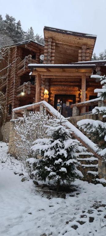 a log cabin in the snow with a tree in front at Pensiunea Streiu in Lepşa