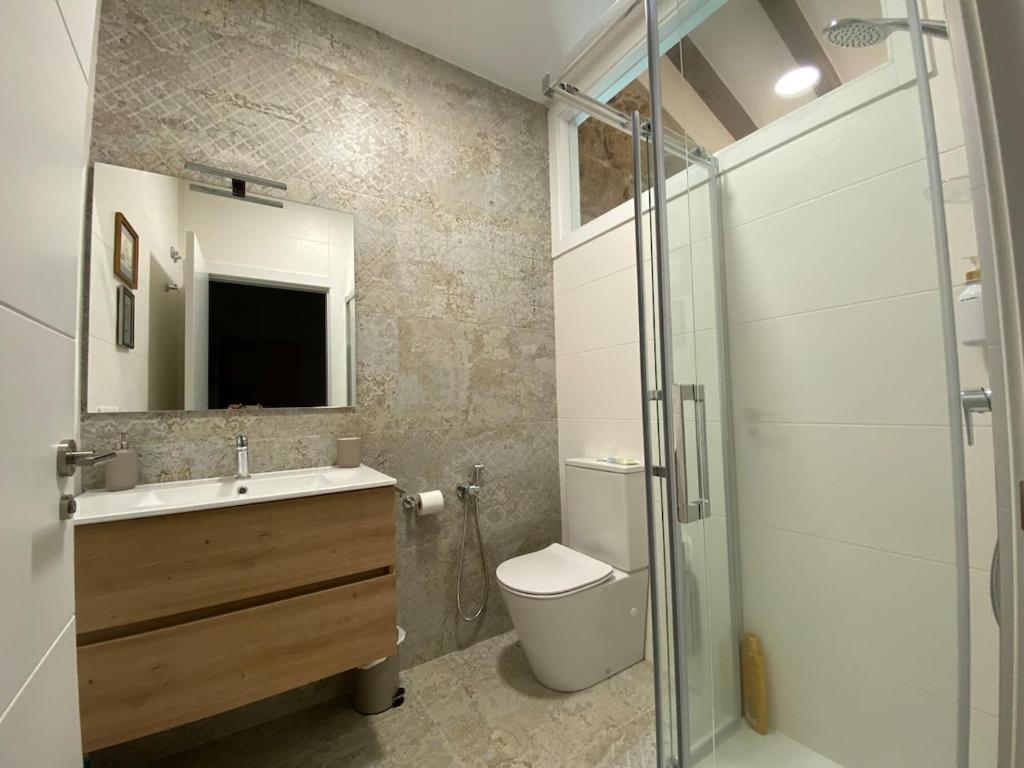 a bathroom with a toilet and a sink and a shower at A CASIÑA dos LARANXOS in Cenlle