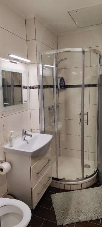 Minihotel Vitex - 19