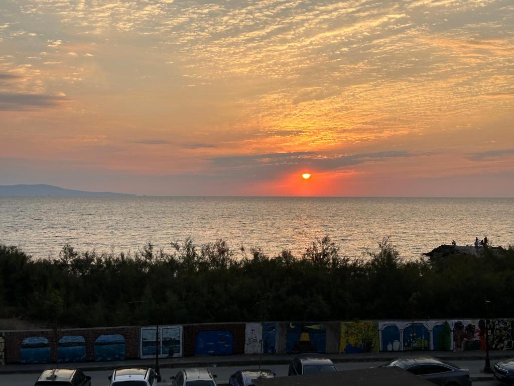 Naturlandskabet i nærheden af lejligheden