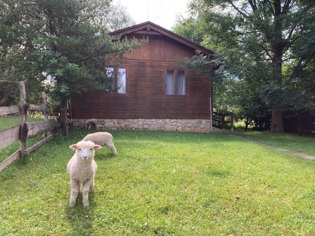 Fotografie z fotogalerie ubytování Cottage by the Ponds v destinaci Krasňany