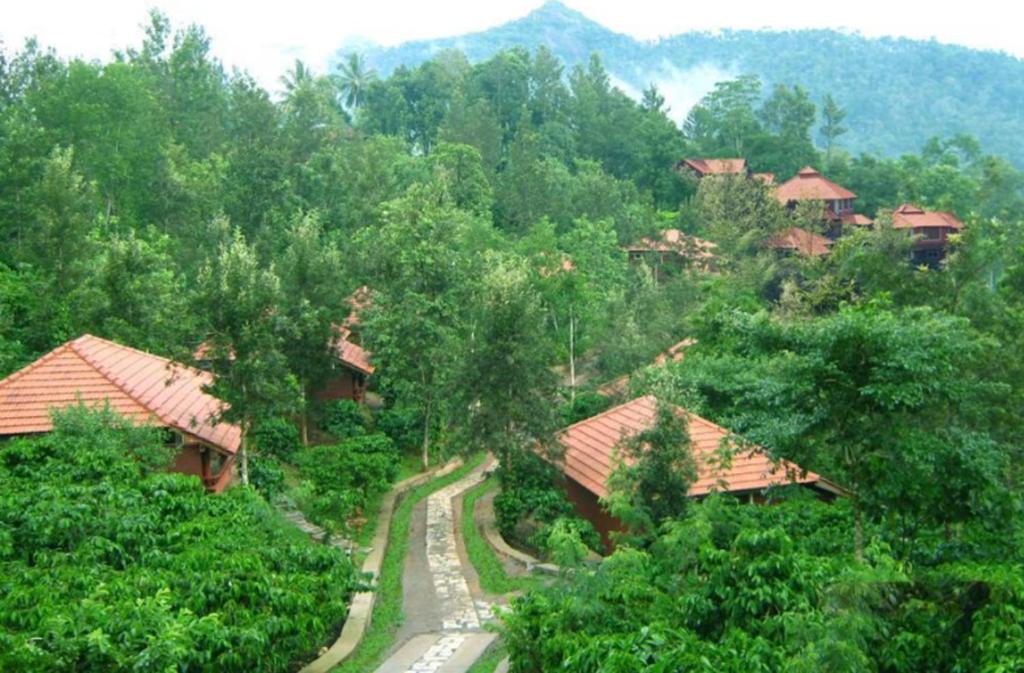 a group of houses in the middle of a forest at Wayanad Heritage Pool Resort in Sultan Bathery