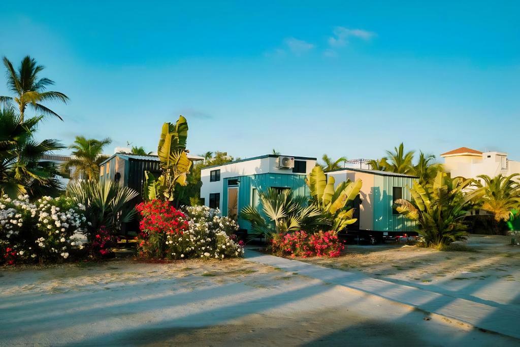 Κήπος έξω από το Tiny House