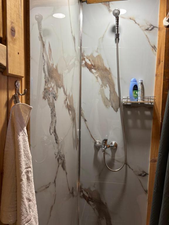 Cottage Bumblebee - 6